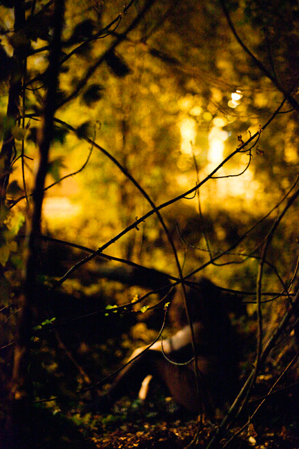 Mysterious forest, photo by Tom Spianti
