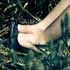 Camille - in the Field Triptych, photo by Tom Spianti