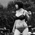 Miss Vivian - Garden Triptych, photo by Tom Spianti