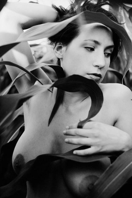 Thalie love Cornfield by Tom Spianti